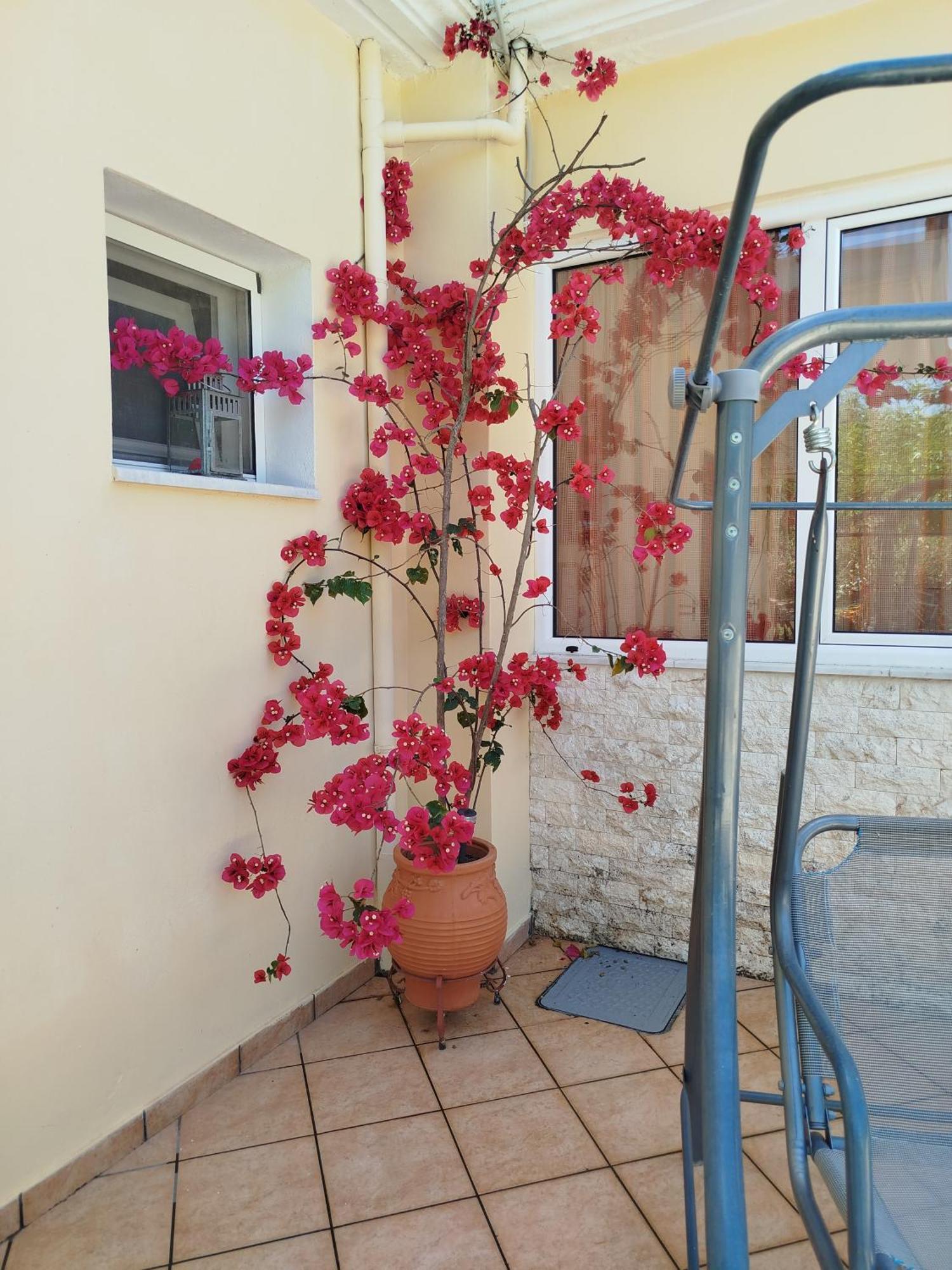 Riverside Αpartments Vasiliki  Exterior photo
